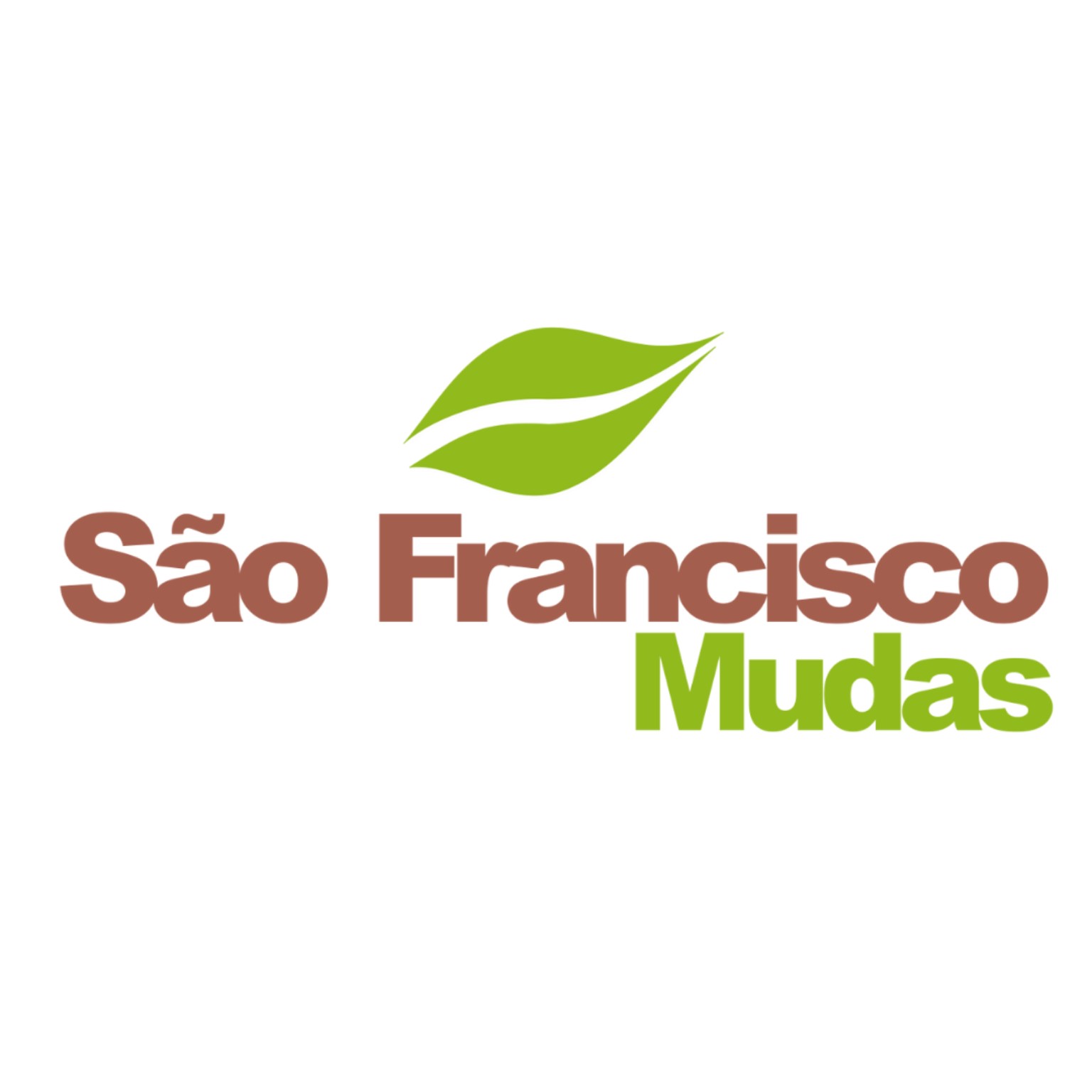 Logo São Francisco Mudas